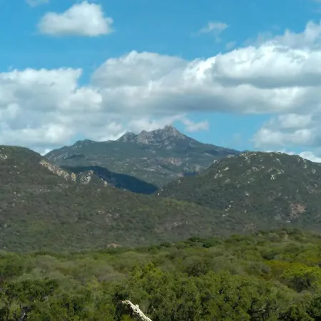 Séjour chez l'habitant Chez Xavier *