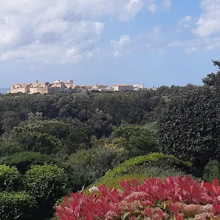 Chez Xavier * Monacia-d'Aullene