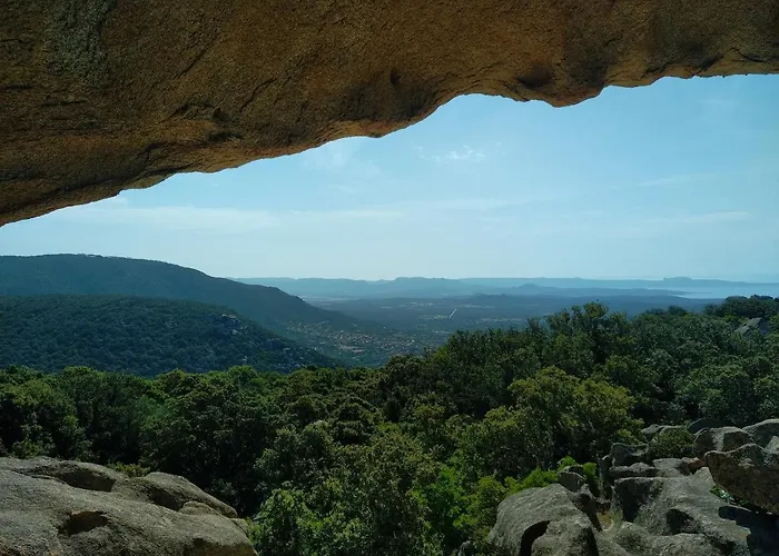 Chez Xavier Monacia-d'Aullene